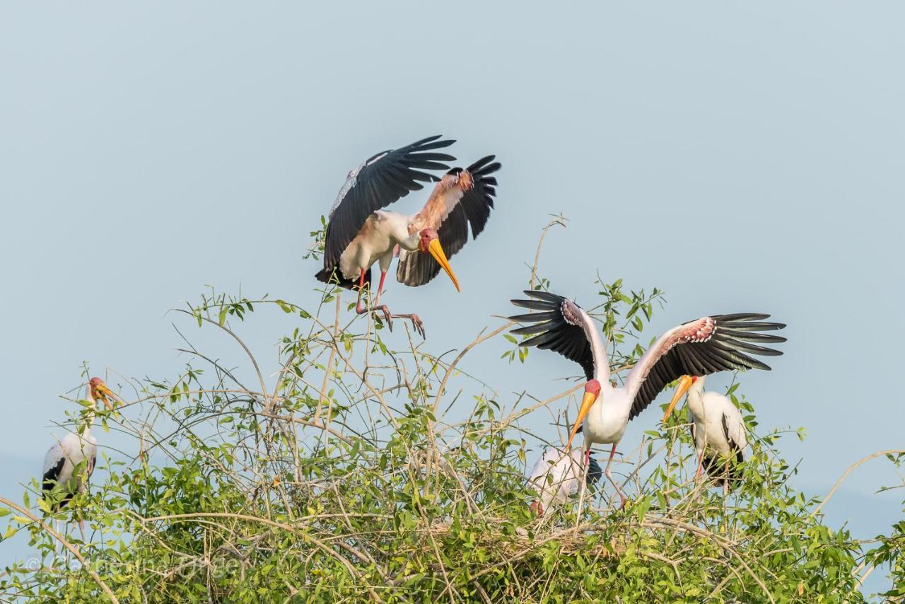 Lake Natron Maasai Giraffe Eco Lodge And Camping Mtowabaga 외부 사진
