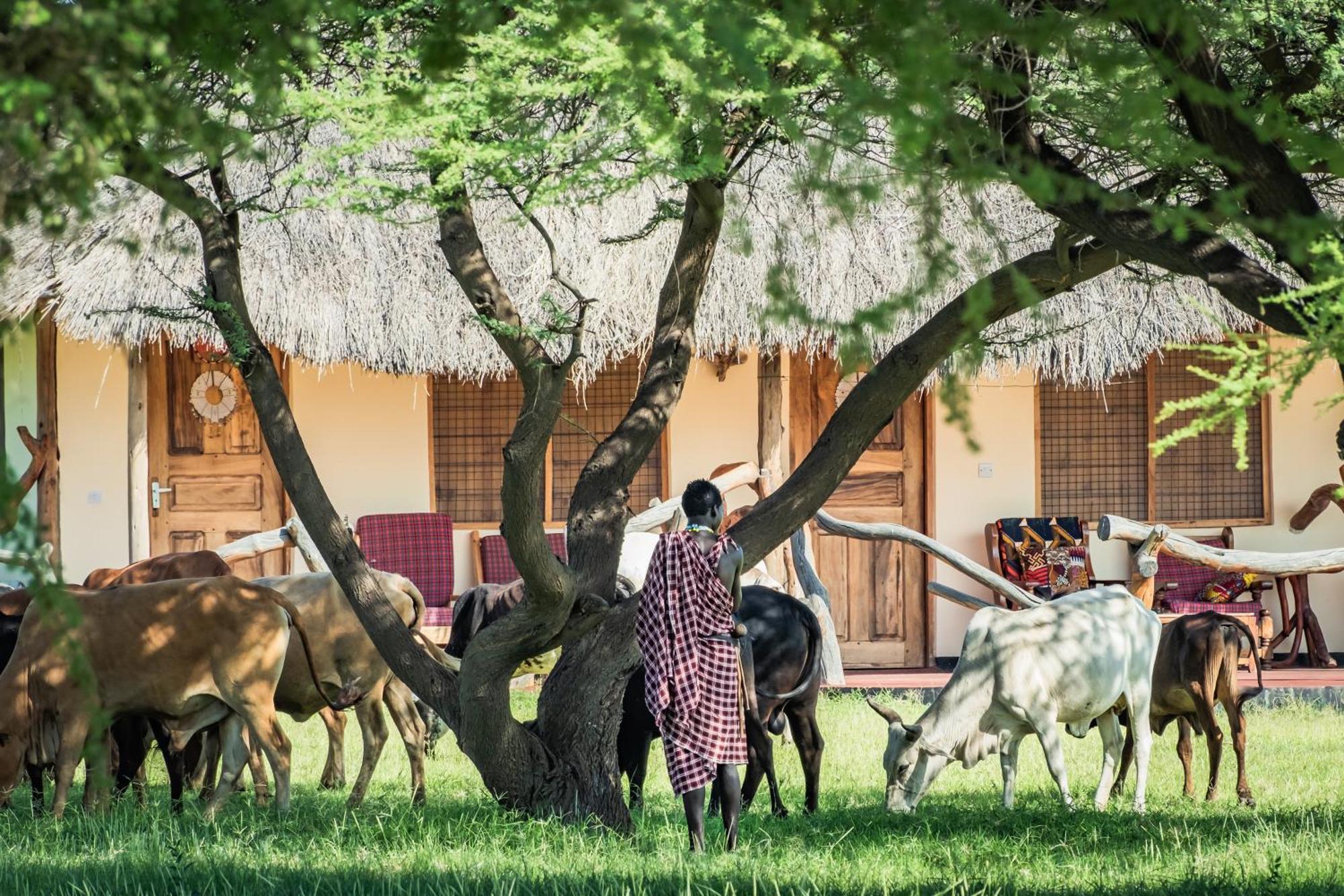 Lake Natron Maasai Giraffe Eco Lodge And Camping Mtowabaga 외부 사진