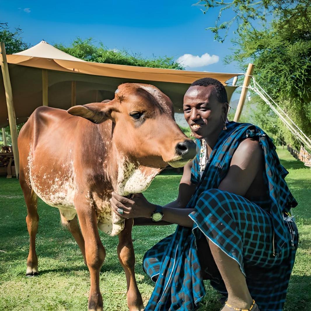 Lake Natron Maasai Giraffe Eco Lodge And Camping Mtowabaga 외부 사진